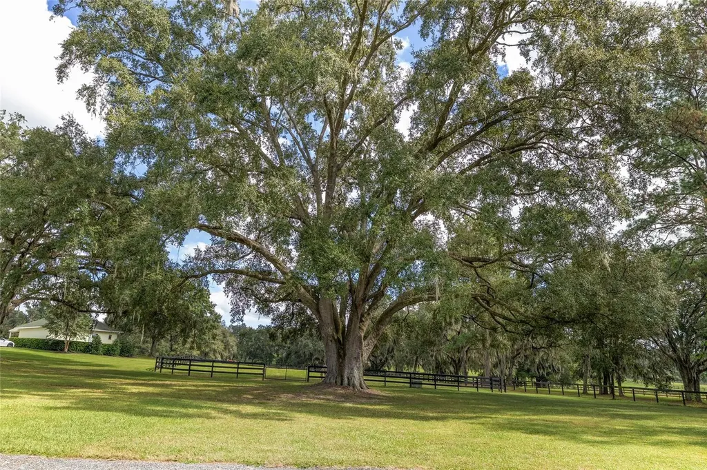 8778 NW 130th Street Reddick FL 32686
