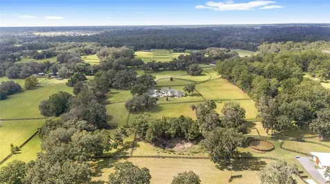 8778 NW 130th Street Reddick FL 32686