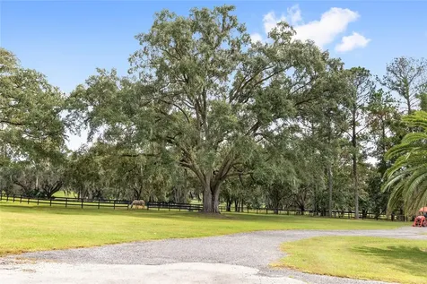 8778 NW 130th Street Reddick FL 32686