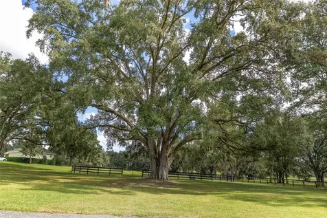 8778 NW 130th Street Reddick FL 32686