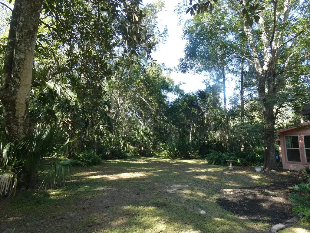 237 Cortez Avenue De Leon Springs FL 32130