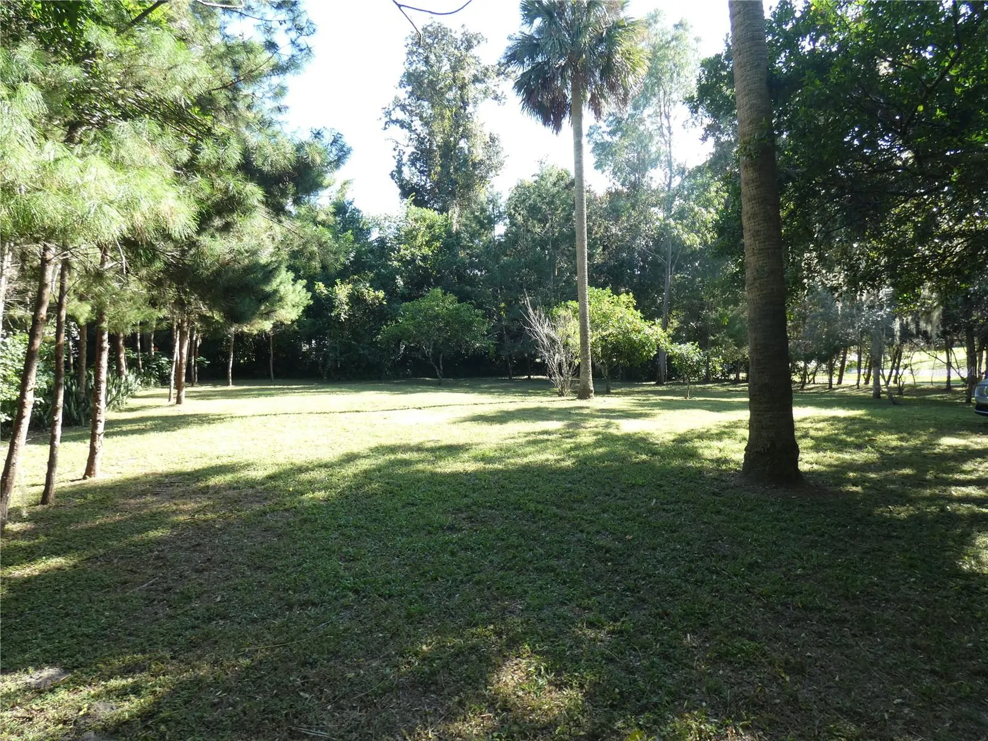237 Cortez Avenue De Leon Springs FL 32130