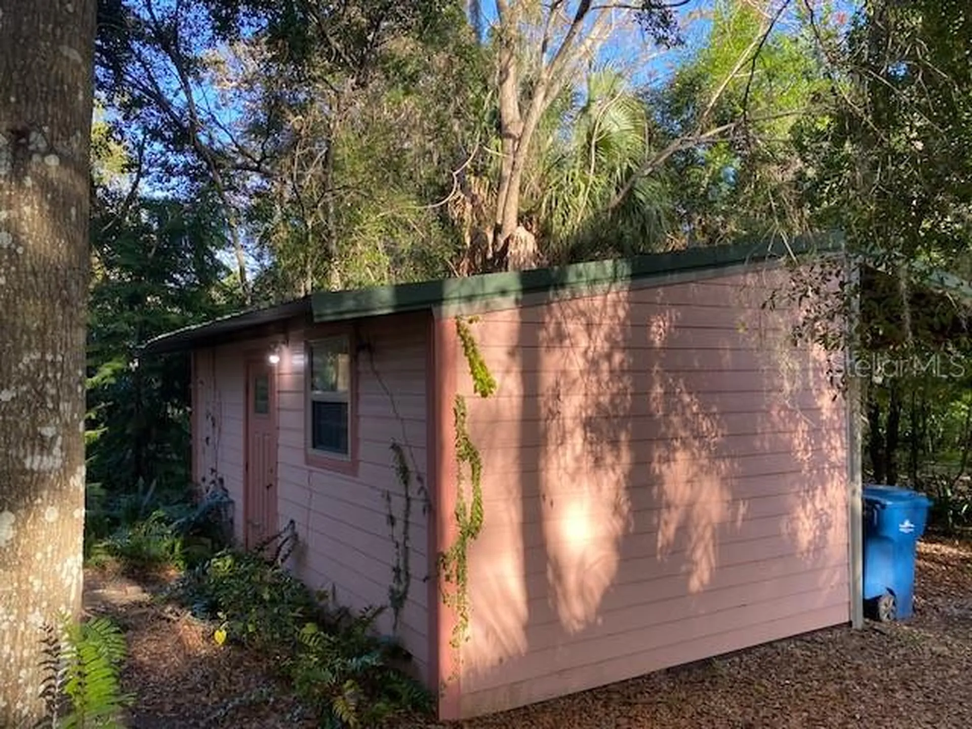 237 Cortez Avenue De Leon Springs FL 32130