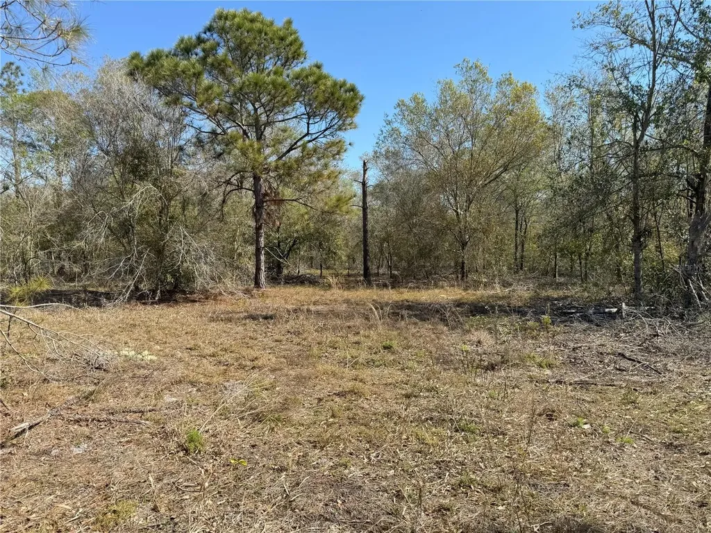 0 Lake Buffum Road Lake Wales FL 33859