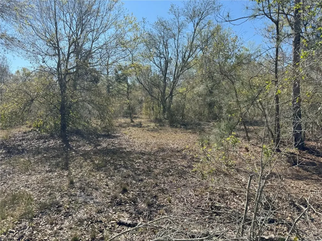 0 Lake Buffum Road Lake Wales FL 33859