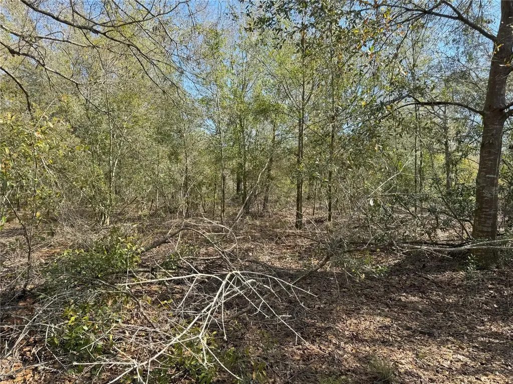 0 Lake Buffum Road Lake Wales FL 33859