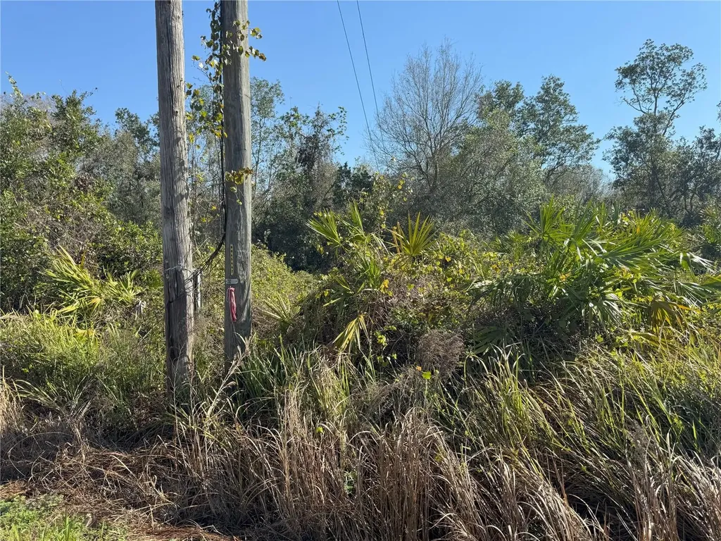 0 Lake Buffum Road Lake Wales FL 33859