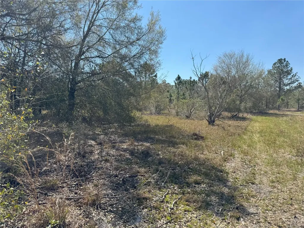 0 Lake Buffum Road Lake Wales FL 33859