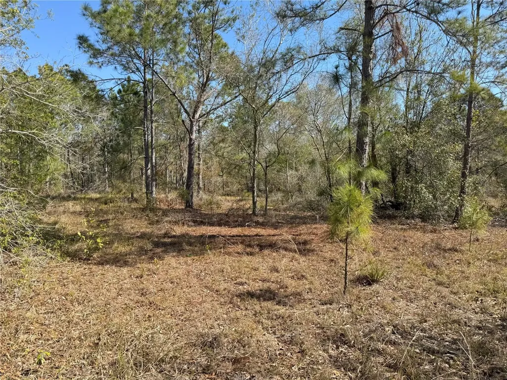 0 Lake Buffum Road Lake Wales FL 33859