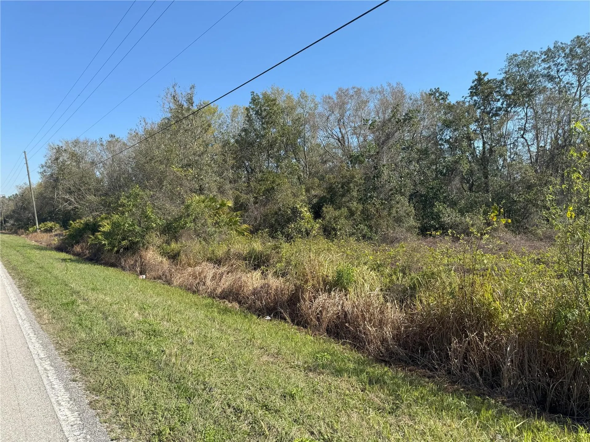 0 Lake Buffum Road Lake Wales FL 33859