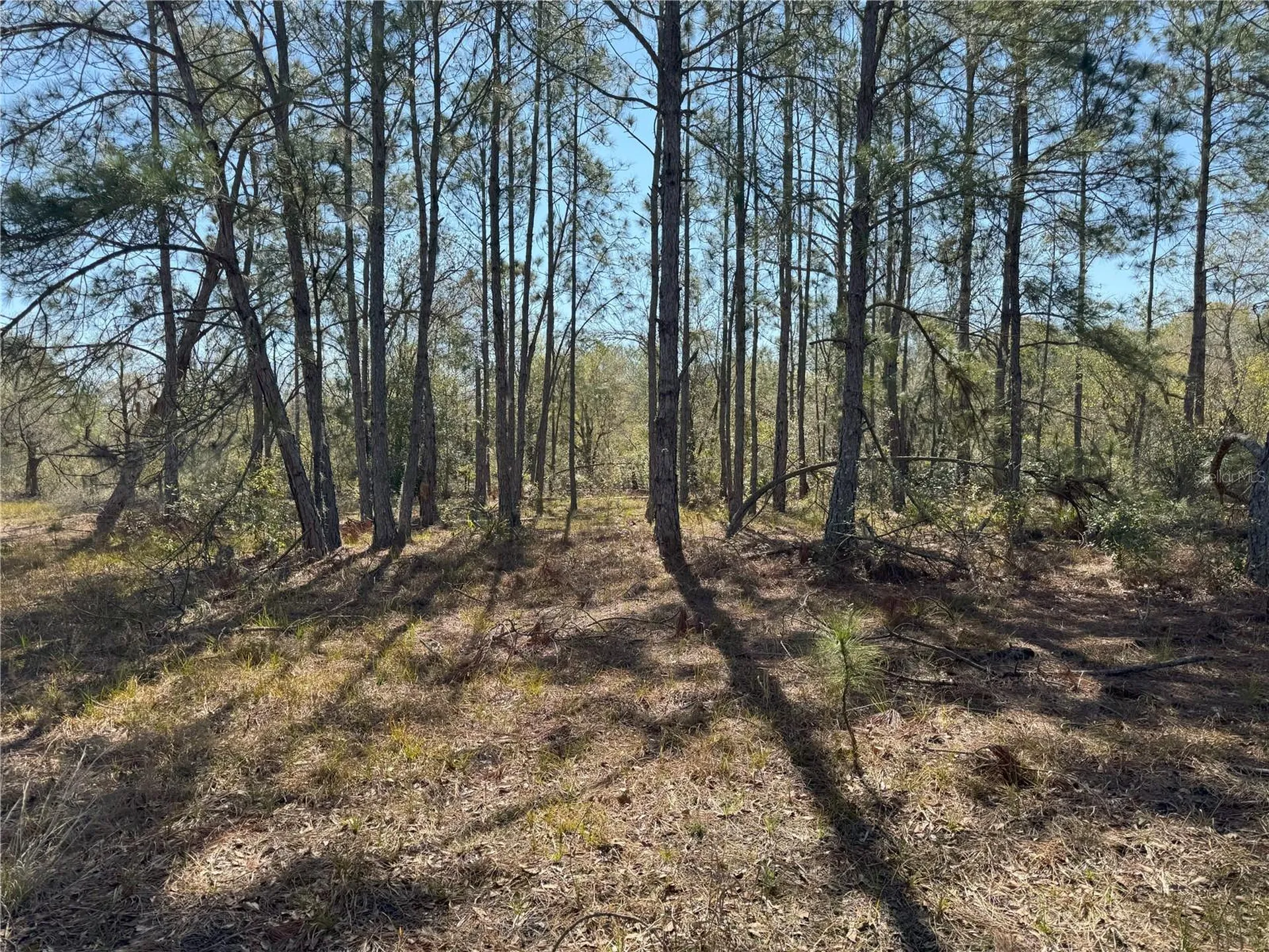0 Lake Buffum Road Lake Wales FL 33859