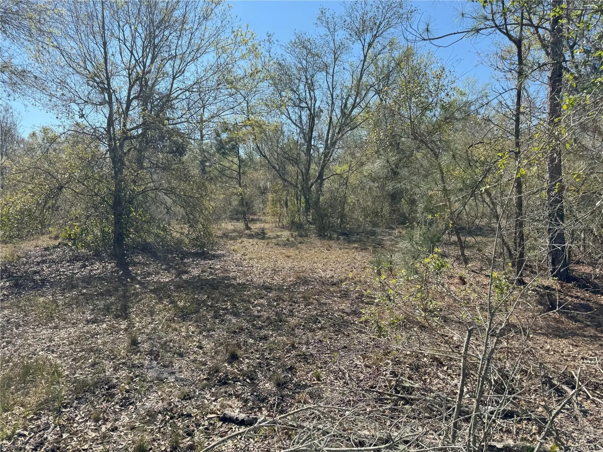 0 Lake Buffum Road Lake Wales FL 33859