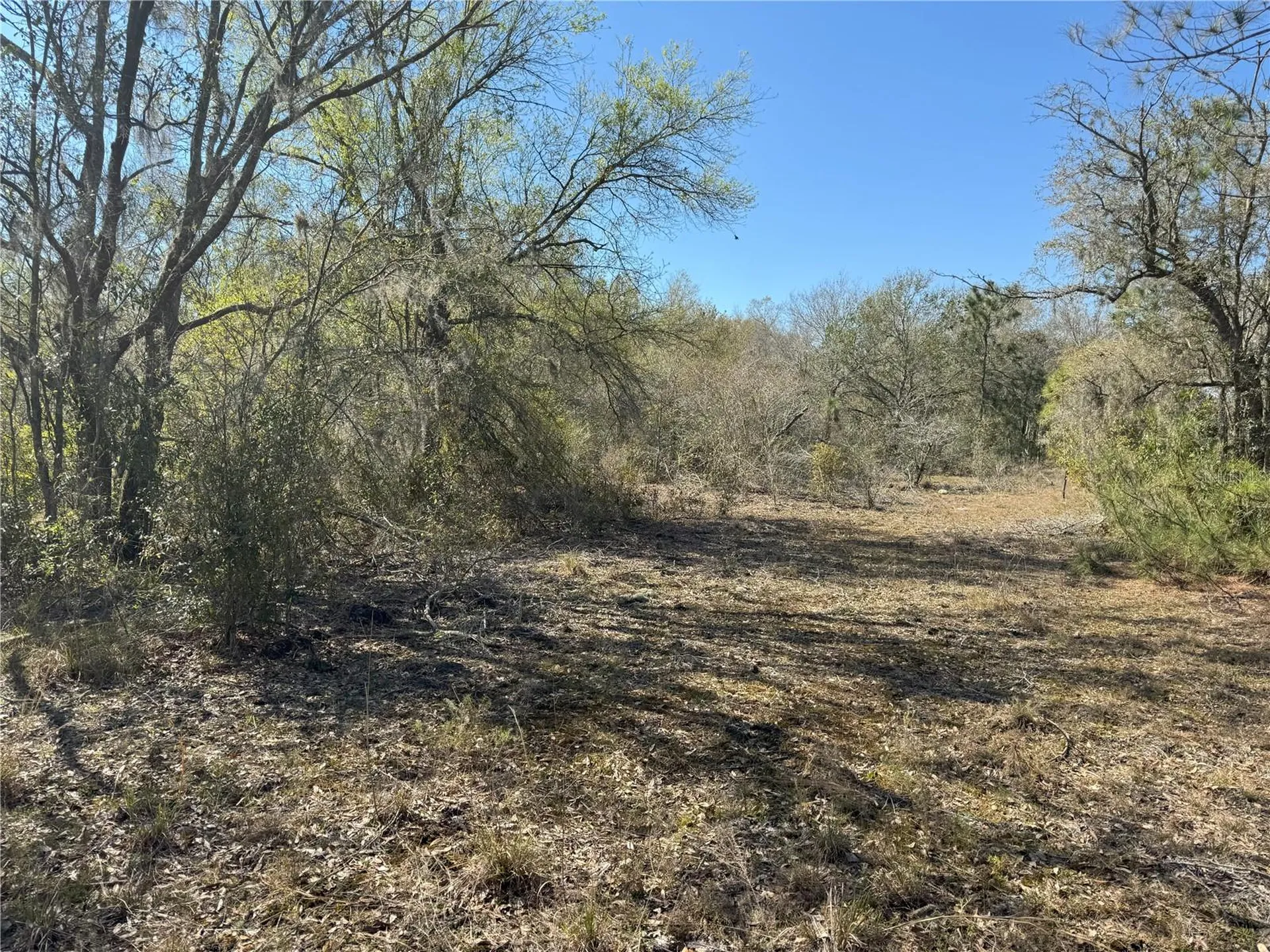 0 Lake Buffum Road Lake Wales FL 33859