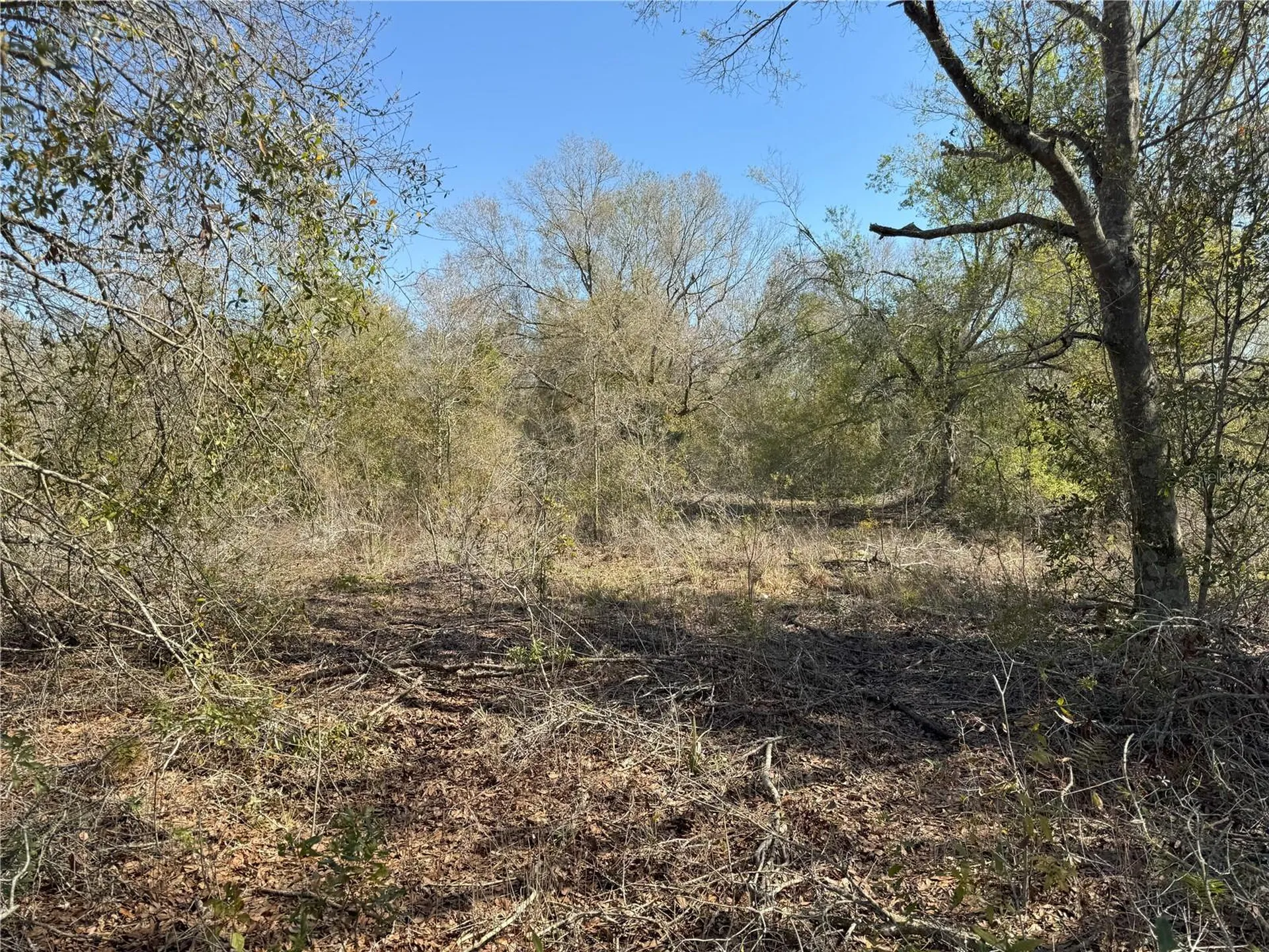 0 Lake Buffum Road Lake Wales FL 33859