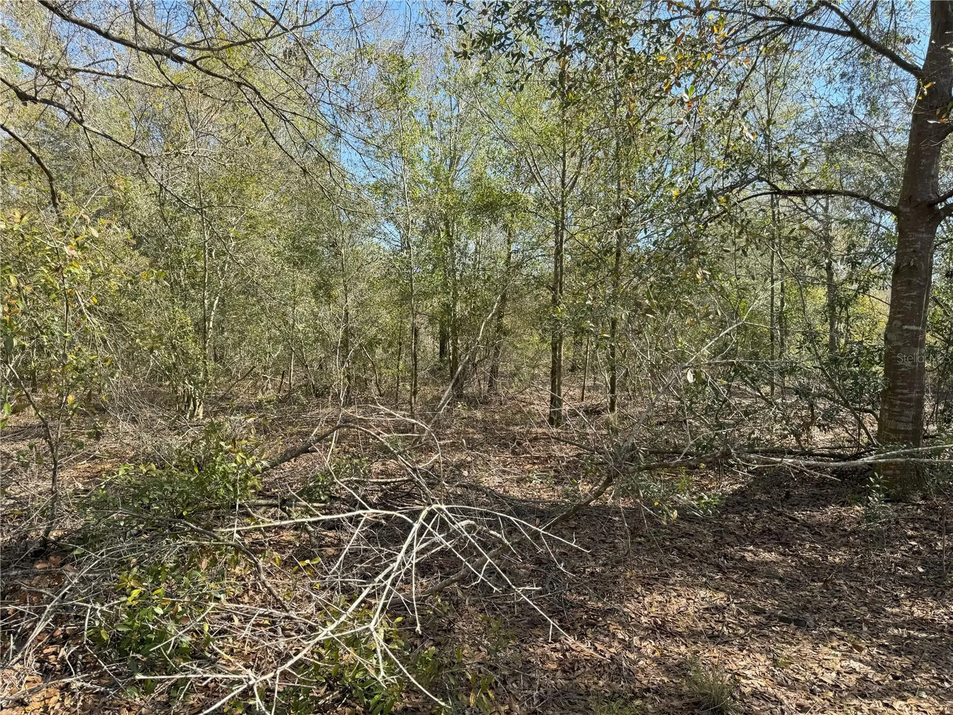 0 Lake Buffum Road Lake Wales FL 33859