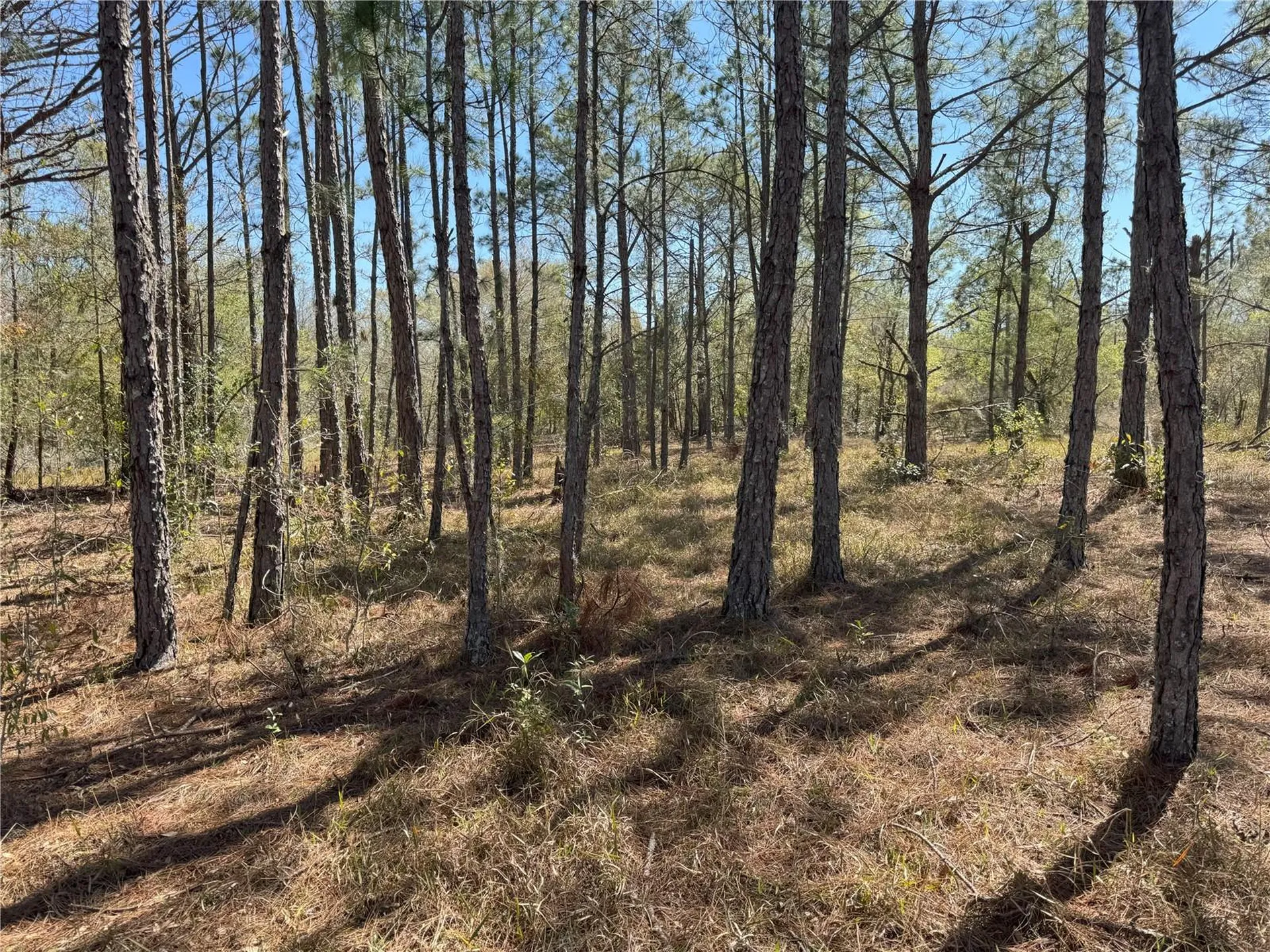 0 Lake Buffum Road Lake Wales FL 33859