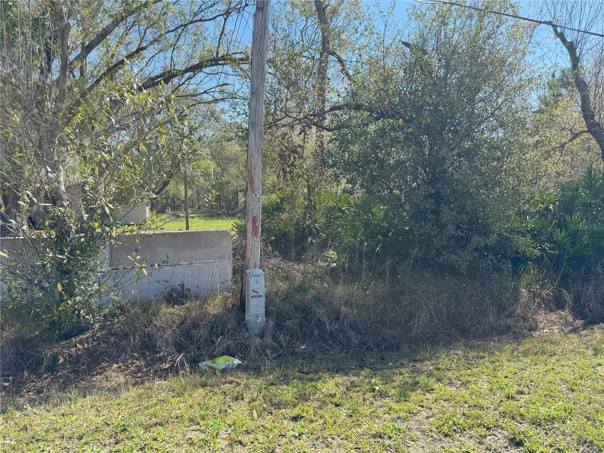 0 Lake Buffum Road Lake Wales FL 33859