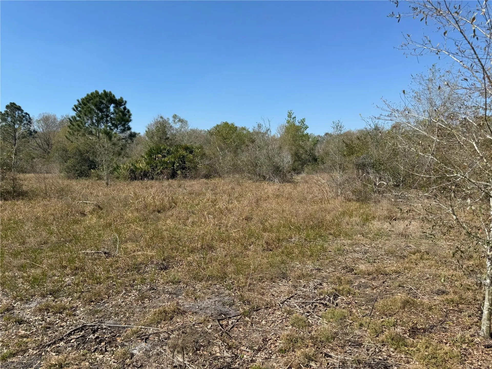 0 Lake Buffum Road Lake Wales FL 33859
