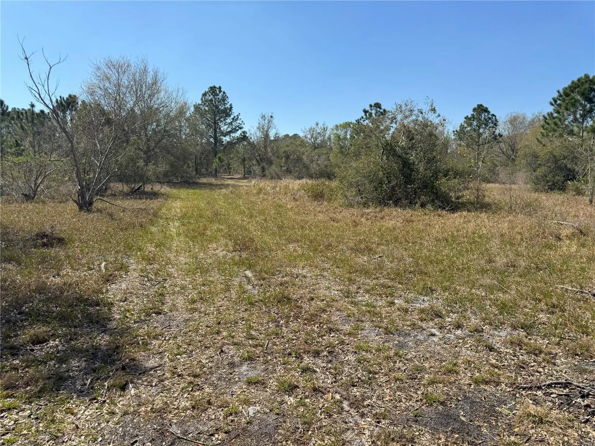 0 Lake Buffum Road Lake Wales FL 33859