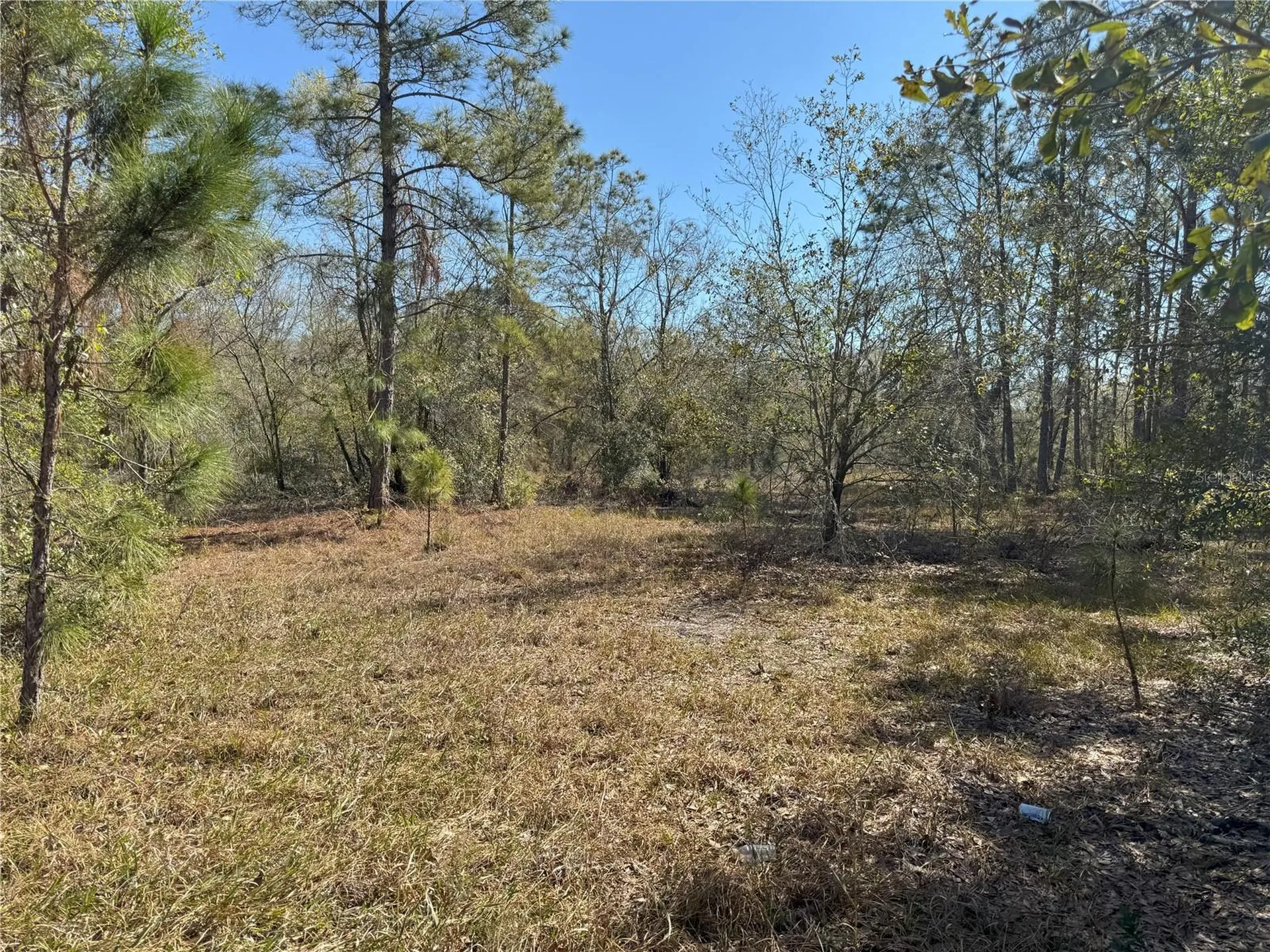0 Lake Buffum Road Lake Wales FL 33859