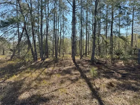 0 Lake Buffum Road Lake Wales FL 33859