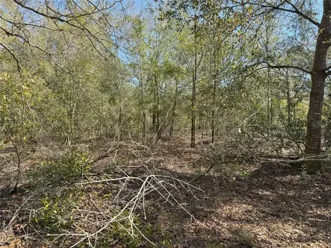 0 Lake Buffum Road Lake Wales FL 33859