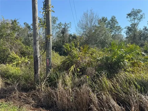 0 Lake Buffum Road Lake Wales FL 33859