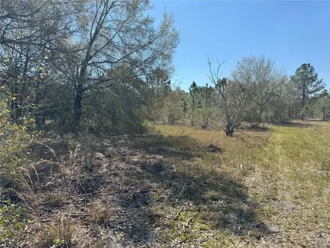 0 Lake Buffum Road Lake Wales FL 33859