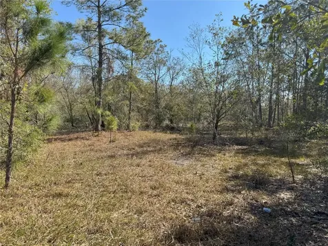 0 Lake Buffum Road Lake Wales FL 33859