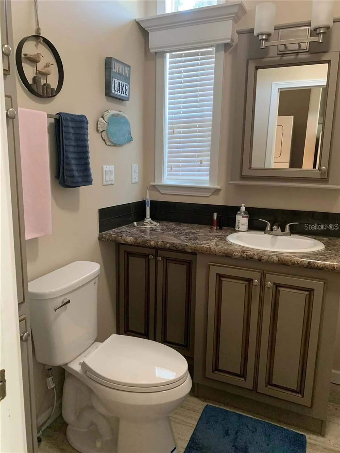699 Cindi Avenue Leesburg FL 34788