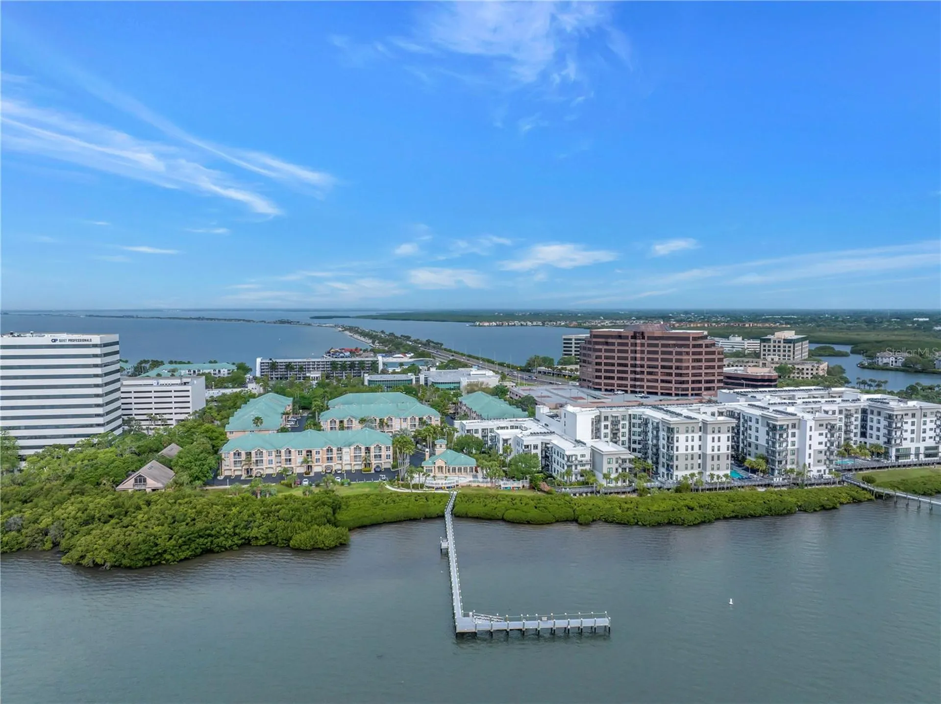 4206 Bay Club Circle Tampa FL 33607