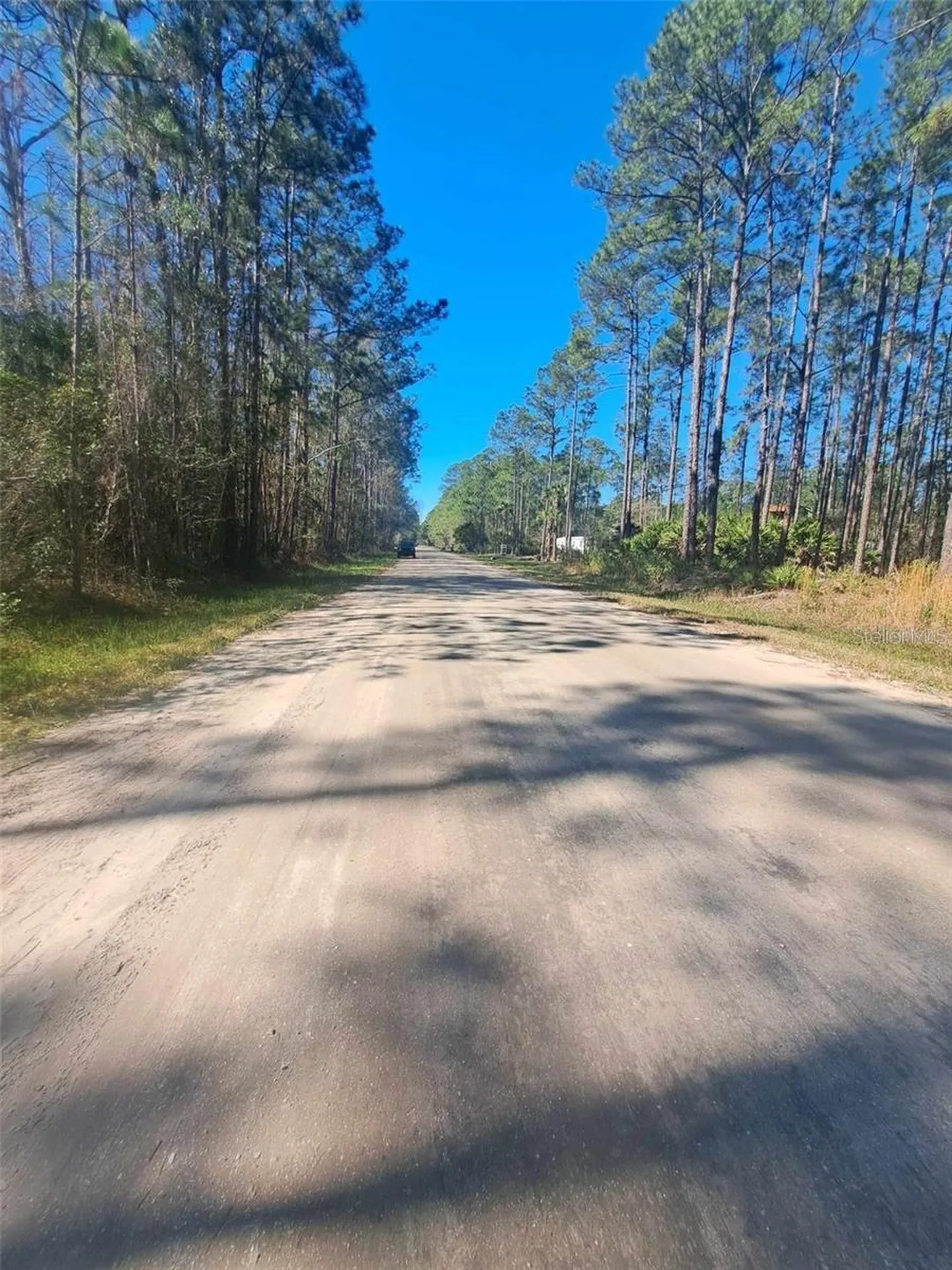 5146 Lime Avenue Bunnell FL 32110
