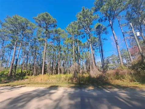 5146 Lime Avenue Bunnell FL 32110