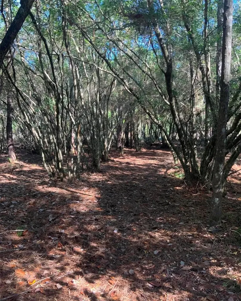 21426 NE 51st Avenue Earleton FL 32631