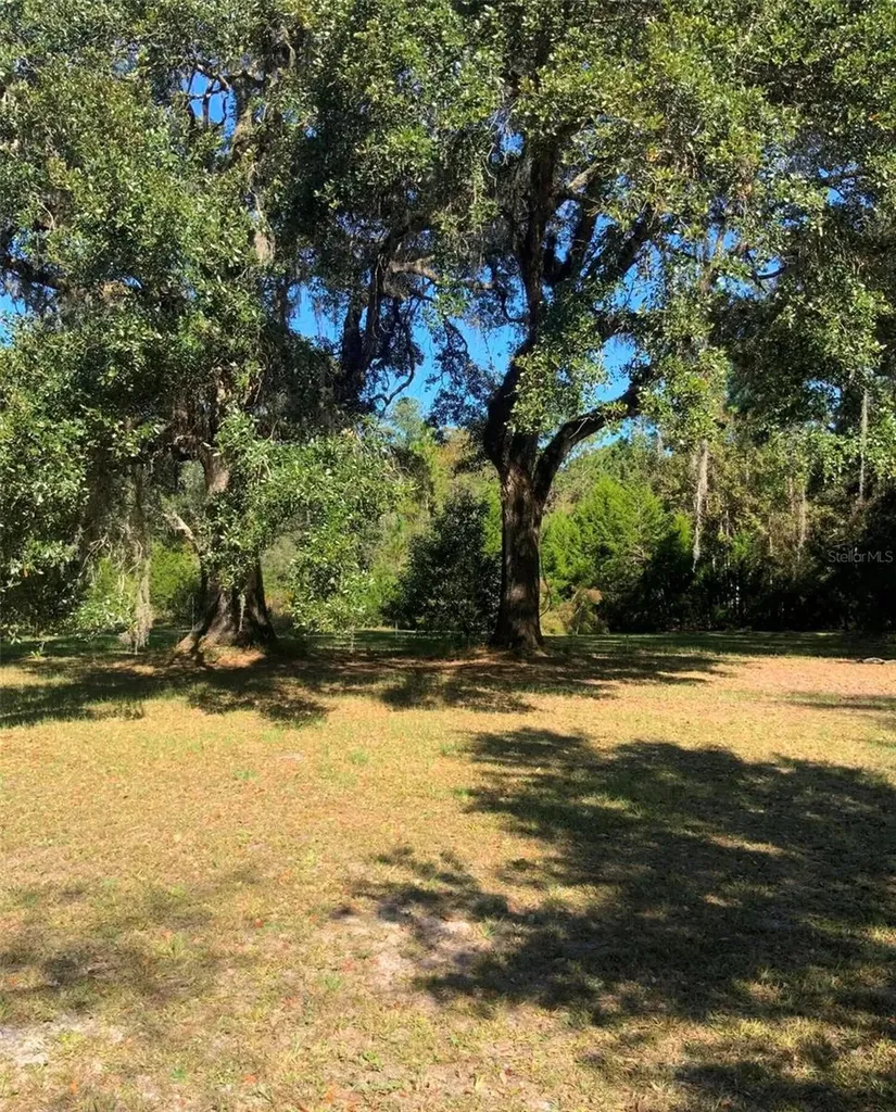 21426 NE 51st Avenue Earleton FL 32631