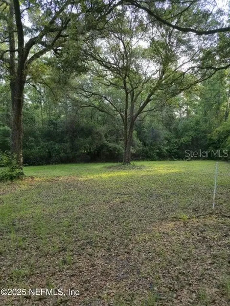 21426 NE 51st Avenue Earleton FL 32631