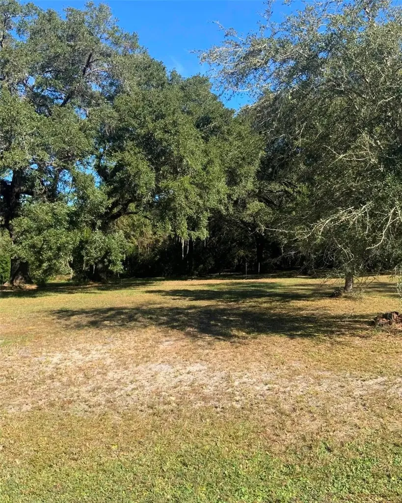 21426 NE 51st Avenue Earleton FL 32631