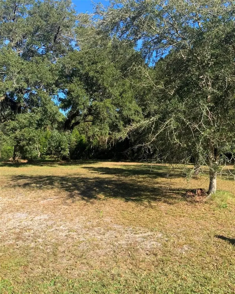 21426 NE 51st Avenue Earleton FL 32631