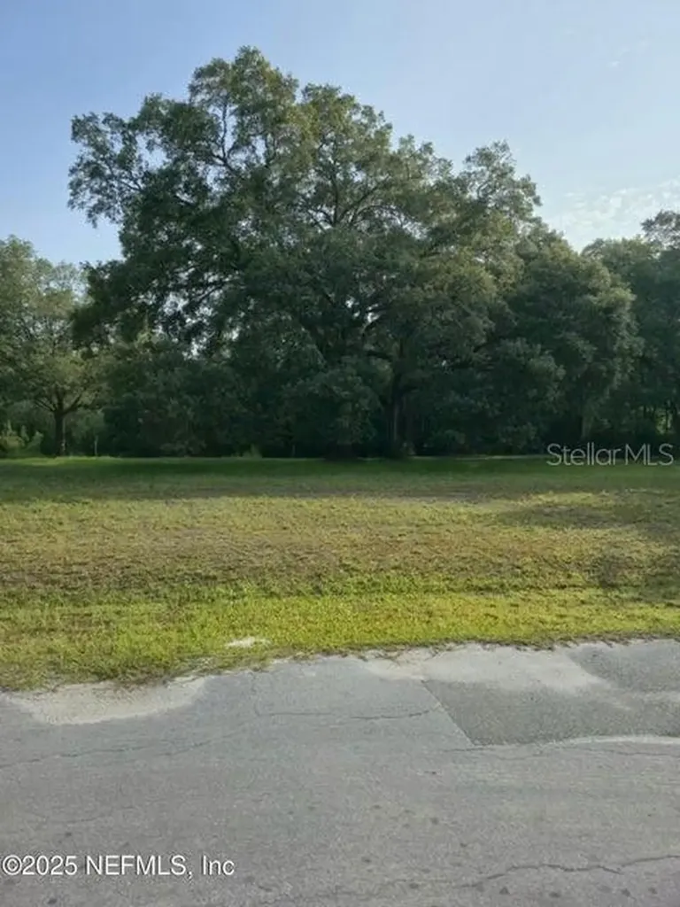 21426 NE 51st Avenue Earleton FL 32631