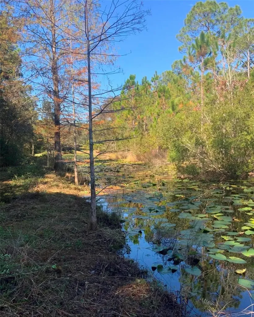21426 NE 51st Avenue Earleton FL 32631