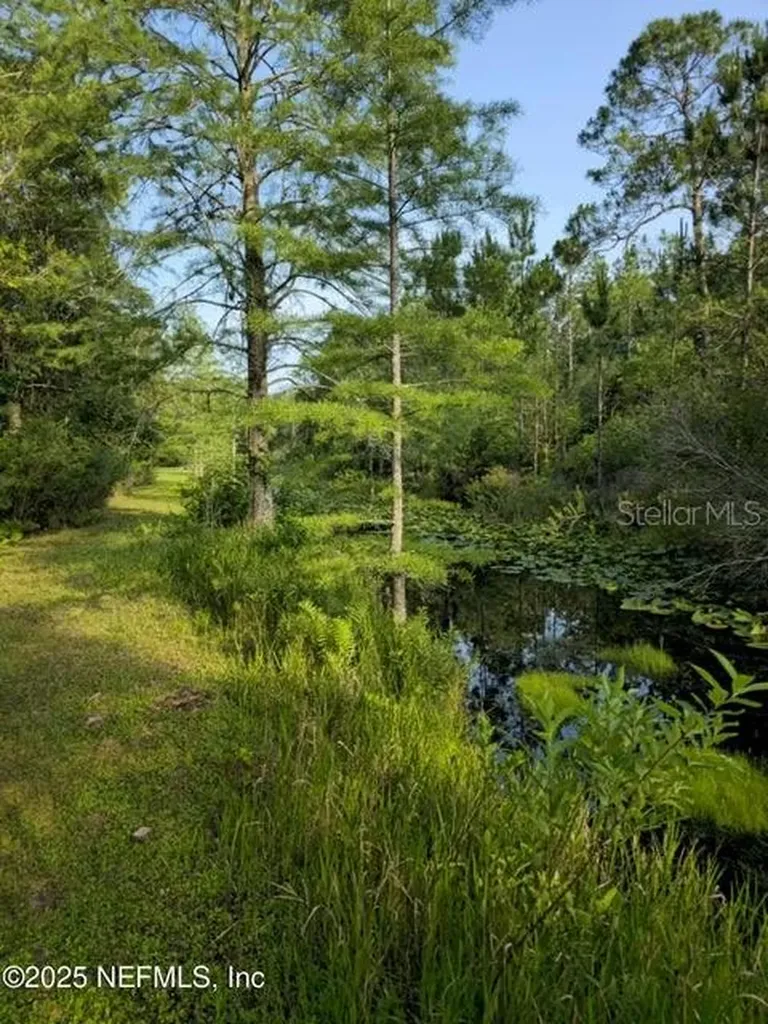 21426 NE 51st Avenue Earleton FL 32631