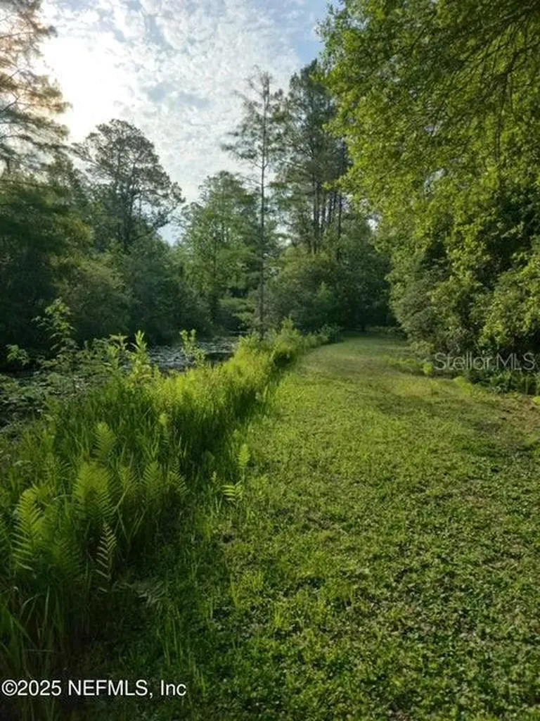 21426 NE 51st Avenue Earleton FL 32631
