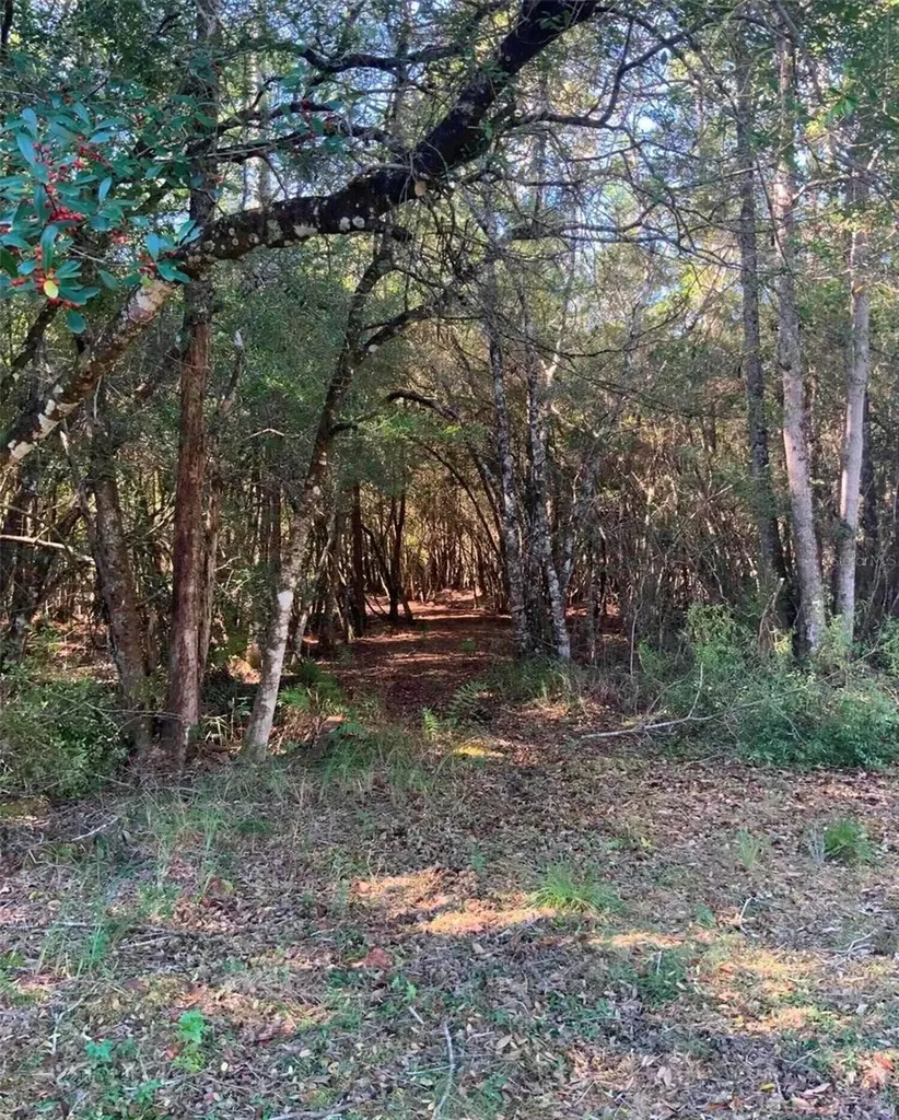 21426 NE 51st Avenue Earleton FL 32631