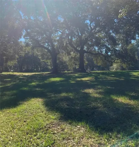 21426 NE 51st Avenue Earleton FL 32631