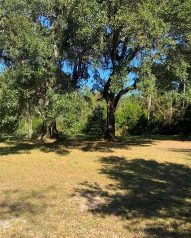 21426 NE 51st Avenue Earleton FL 32631