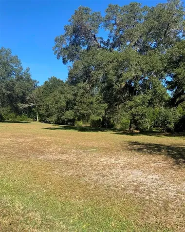 21426 NE 51st Avenue Earleton FL 32631