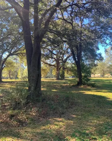 21426 NE 51st Avenue Earleton FL 32631