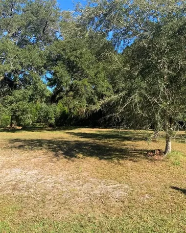 21426 NE 51st Avenue Earleton FL 32631