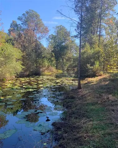 21426 NE 51st Avenue Earleton FL 32631