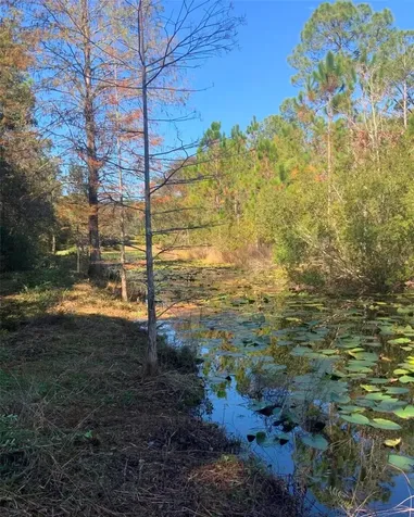 21426 NE 51st Avenue Earleton FL 32631